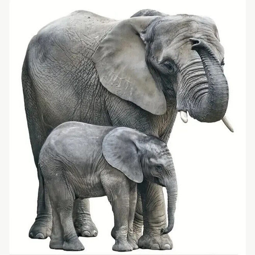 Realistic Elephant 3D Wall Decal 25.5" x 22.8" NEW! Home & Garden:Home Décor:Decals, Stickers & Vinyl Art Style Your Walls